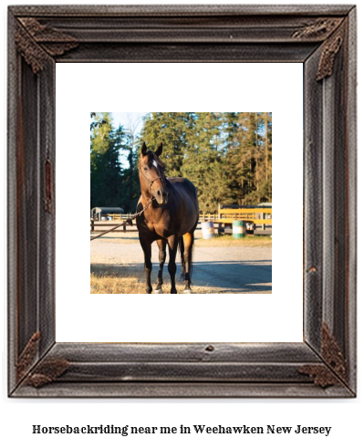 horseback riding near me in Weehawken, New Jersey